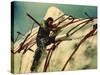 Moby Dick, Gregory Peck, 1956-null-Stretched Canvas