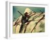 Moby Dick, Gregory Peck, 1956-null-Framed Photo