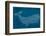 Moby Dick-null-Framed Giclee Print