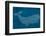 Moby Dick-null-Framed Giclee Print