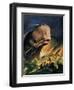 Moby Dick-James Edwin Mcconnell-Framed Giclee Print