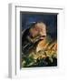 Moby Dick-James Edwin Mcconnell-Framed Giclee Print