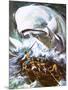 Moby Dick-English School-Mounted Giclee Print