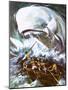 Moby Dick-English School-Mounted Giclee Print