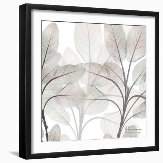 Mocha Growth 1-Albert Koetsier-Framed Art Print