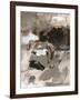 Mocha II-Christina Long-Framed Art Print