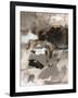 Mocha II-Christina Long-Framed Art Print