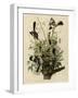 Mocking Bird-null-Framed Giclee Print