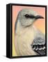 Mocking Bird-James W. Johnson-Framed Stretched Canvas