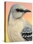 Mocking Bird-James W. Johnson-Stretched Canvas