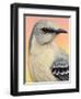 Mocking Bird-James W. Johnson-Framed Giclee Print