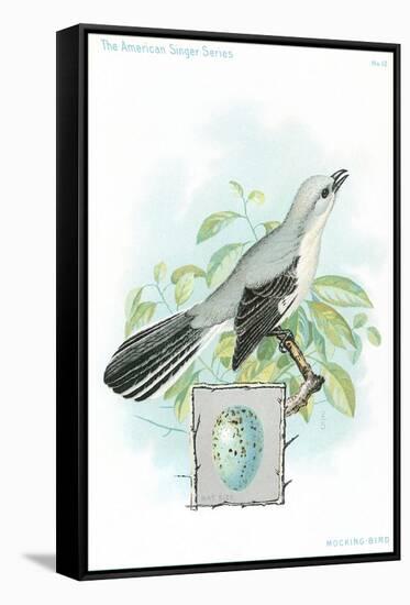 Mockingbird and Egg-null-Framed Stretched Canvas