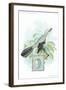 Mockingbird and Egg-null-Framed Art Print