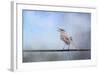 Mockingbird in the Snow-Jai Johnson-Framed Giclee Print