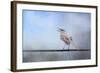 Mockingbird in the Snow-Jai Johnson-Framed Giclee Print