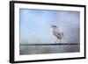 Mockingbird in the Snow-Jai Johnson-Framed Giclee Print