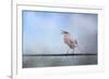 Mockingbird in the Snow-Jai Johnson-Framed Giclee Print