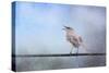 Mockingbird in the Snow-Jai Johnson-Stretched Canvas