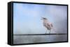 Mockingbird in the Snow-Jai Johnson-Framed Stretched Canvas