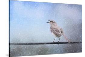 Mockingbird in the Snow-Jai Johnson-Stretched Canvas