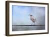 Mockingbird in the Snow-Jai Johnson-Framed Giclee Print