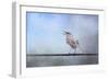 Mockingbird in the Snow-Jai Johnson-Framed Giclee Print