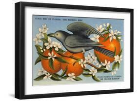 Mockingbird, Orange Blossoms, Florida-null-Framed Art Print