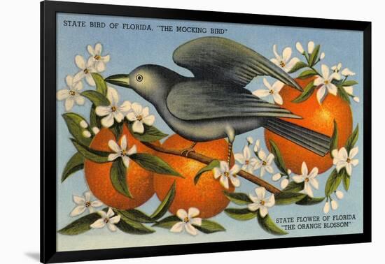 Mockingbird, Orange Blossoms, Florida-null-Framed Art Print