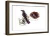 MOCKINGBIRD-BRUCE DEAN-Framed Art Print