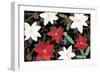 Mod Holiday I Dark-Veronique Charron-Framed Art Print