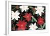 Mod Holiday I Dark-Veronique Charron-Framed Art Print