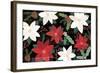 Mod Holiday I Dark-Veronique Charron-Framed Art Print