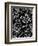 Mod Paisley Black-Jyotsna Warikoo-Framed Giclee Print