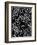 Mod Paisley Black-Jyotsna Warikoo-Framed Giclee Print