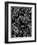 Mod Paisley Black-Jyotsna Warikoo-Framed Giclee Print