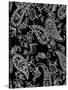 Mod Paisley Black-Jyotsna Warikoo-Stretched Canvas