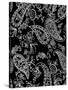 Mod Paisley Black-Jyotsna Warikoo-Stretched Canvas