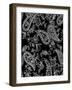 Mod Paisley Black-Jyotsna Warikoo-Framed Giclee Print