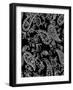 Mod Paisley Black-Jyotsna Warikoo-Framed Giclee Print