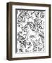 Mod Paisley Whie-Jyotsna Warikoo-Framed Giclee Print