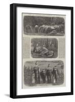 Mode of Capturing Wild Elephants in Ceylon-null-Framed Giclee Print