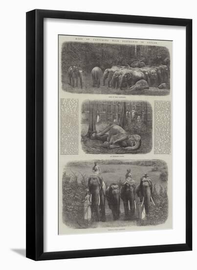 Mode of Capturing Wild Elephants in Ceylon-null-Framed Giclee Print