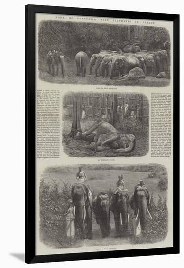 Mode of Capturing Wild Elephants in Ceylon-null-Framed Giclee Print