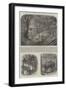 Mode of Capturing Wild Elephants in Ceylon-null-Framed Giclee Print