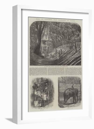 Mode of Capturing Wild Elephants in Ceylon-null-Framed Giclee Print