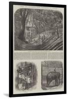 Mode of Capturing Wild Elephants in Ceylon-null-Framed Giclee Print