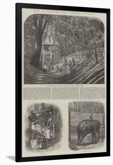 Mode of Capturing Wild Elephants in Ceylon-null-Framed Giclee Print