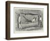 Mode of Travelling in Sierra Leone-Thomas Harrington Wilson-Framed Giclee Print