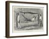 Mode of Travelling in Sierra Leone-Thomas Harrington Wilson-Framed Giclee Print