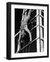 Model Athlete-null-Framed Photographic Print